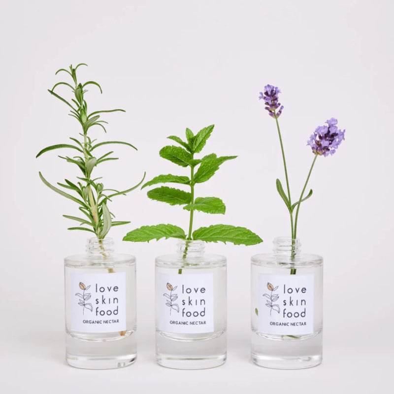 REFILL ORGANIC ROSEMARY FACE MIST 100ml